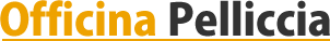 Logo di Pelliccia
